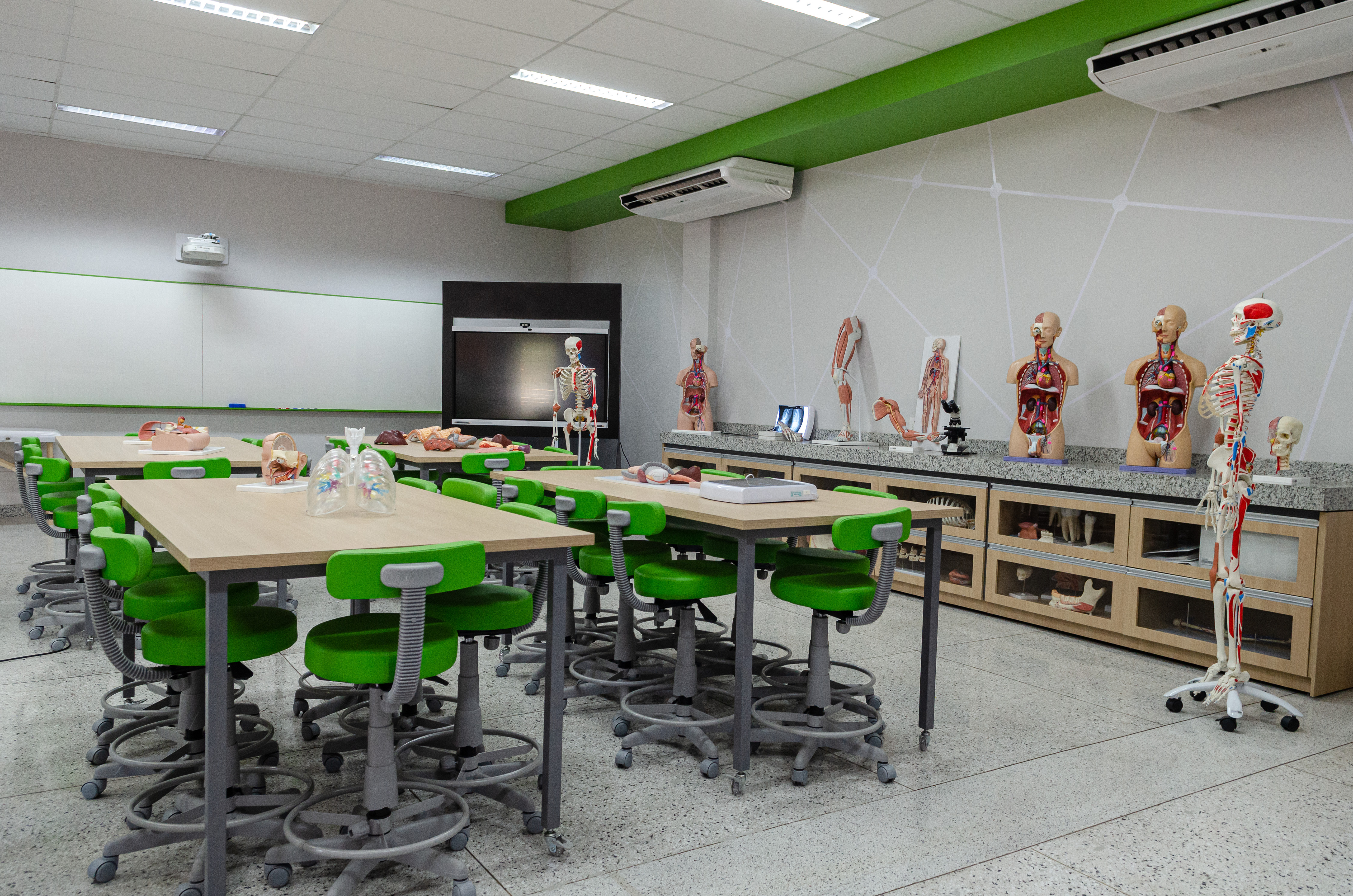 Laboratório de saúde com mesas claras e cadeiras giratórias estilo banqueta com encosto em verde cítrico. Sobre a bancada modelos de anatomia.