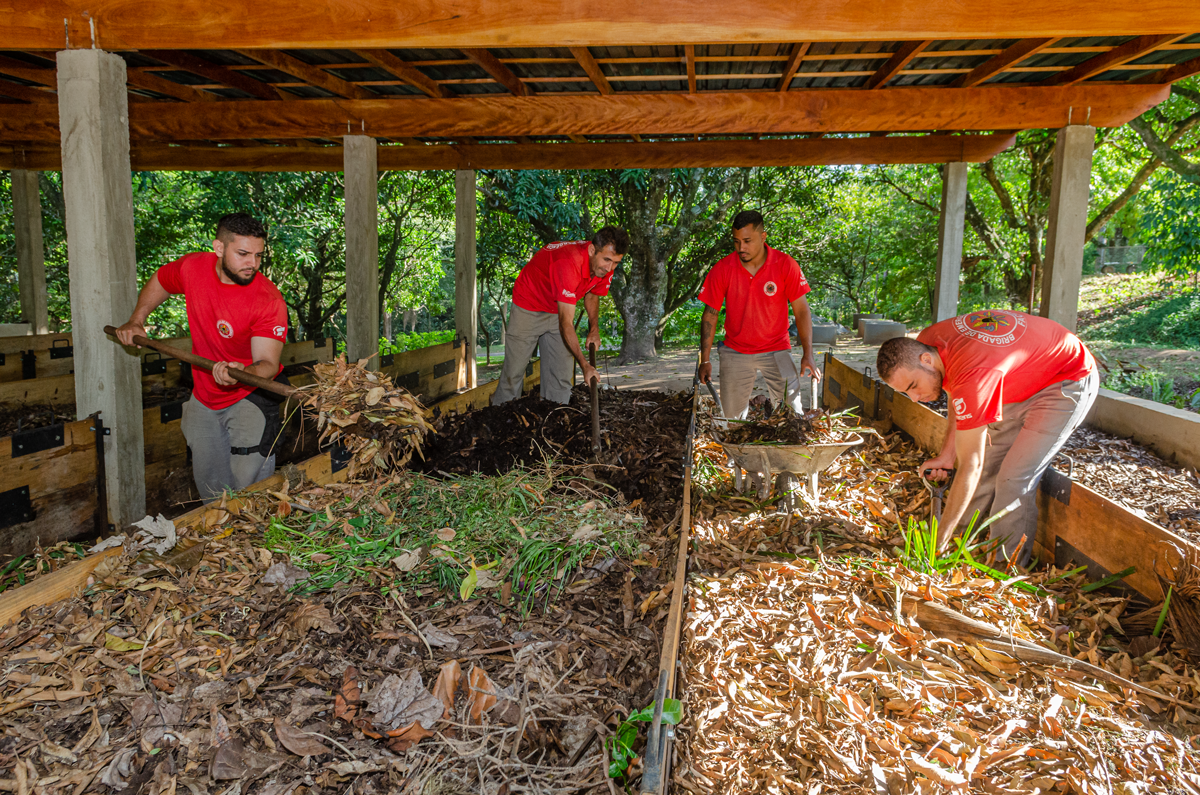 Foto em dia de sol. no galpão aberto, quatro pessoas uniformizadas com camisetas vermelhas e calças cinzas manipulam carrinho de mãos, usam enxadas e pás para revolver o solo com terra e restos orgânicos em espaços delimitados por madeira.